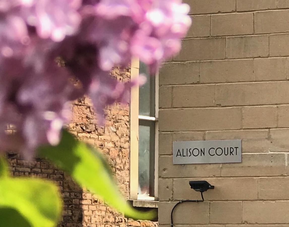 Alison Court Daire Bristol Dış mekan fotoğraf